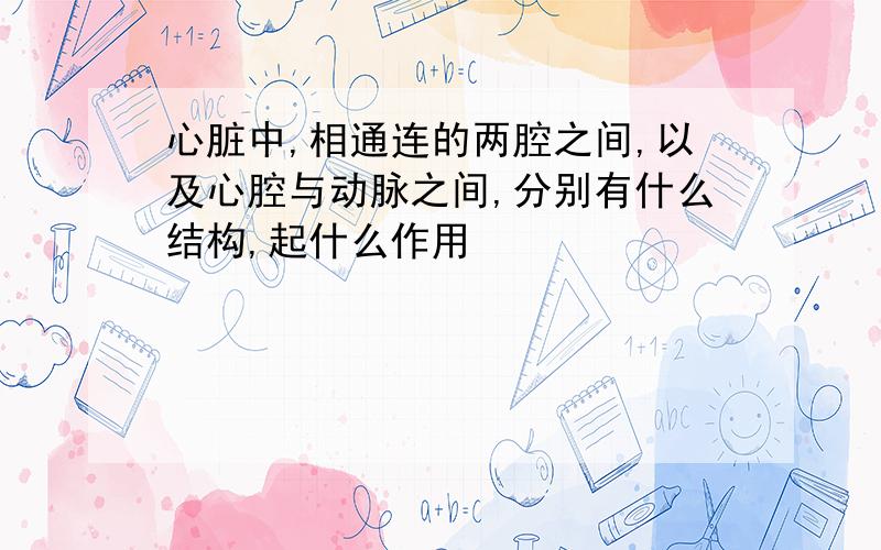 心脏中,相通连的两腔之间,以及心腔与动脉之间,分别有什么结构,起什么作用