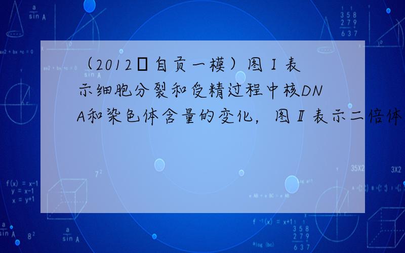 （2012•自贡一模）图Ⅰ表示细胞分裂和受精过程中核DNA和染色体含量的变化，图Ⅱ表示二倍体生物细胞分裂过程中染色体的行