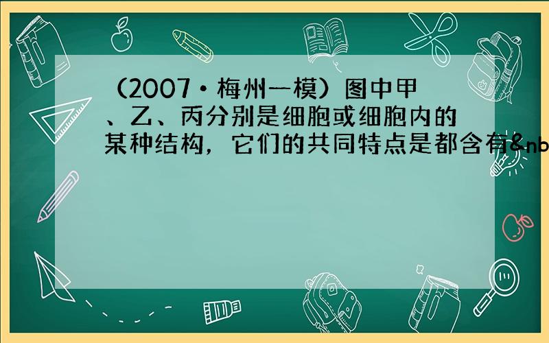 （2007•梅州一模）图中甲、乙、丙分别是细胞或细胞内的某种结构，它们的共同特点是都含有 DNA．以下叙述正确