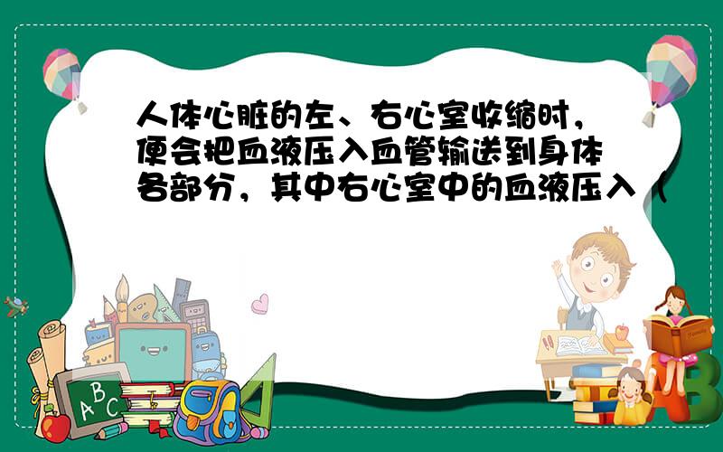 人体心脏的左、右心室收缩时，便会把血液压入血管输送到身体各部分，其中右心室中的血液压入（　　）