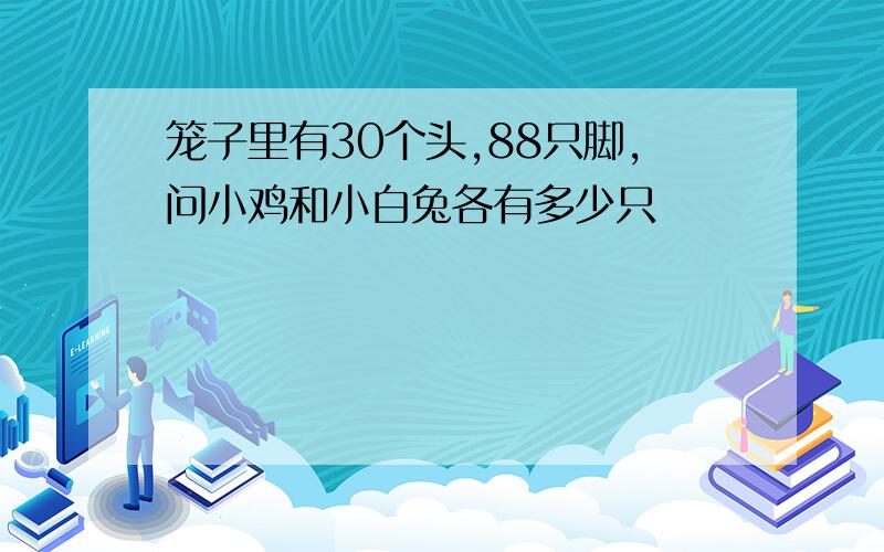 笼子里有30个头,88只脚,问小鸡和小白兔各有多少只