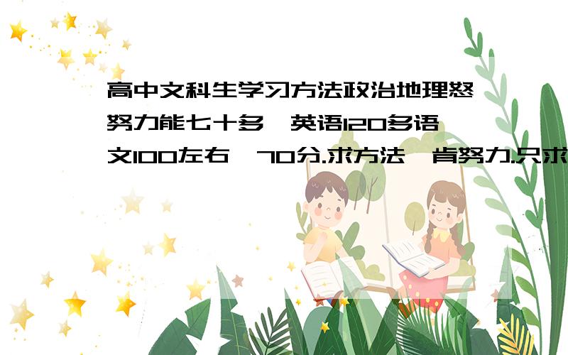 高中文科生学习方法政治地理怒努力能七十多,英语120多语文100左右,70分.求方法,肯努力.只求有效方法,不要复制的不