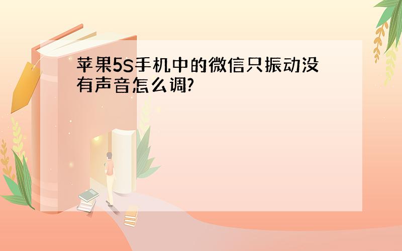 苹果5S手机中的微信只振动没有声音怎么调?