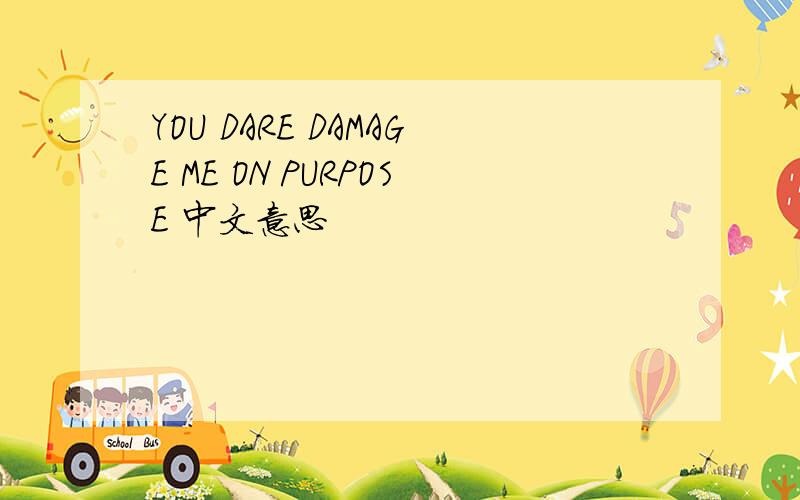 YOU DARE DAMAGE ME ON PURPOSE 中文意思