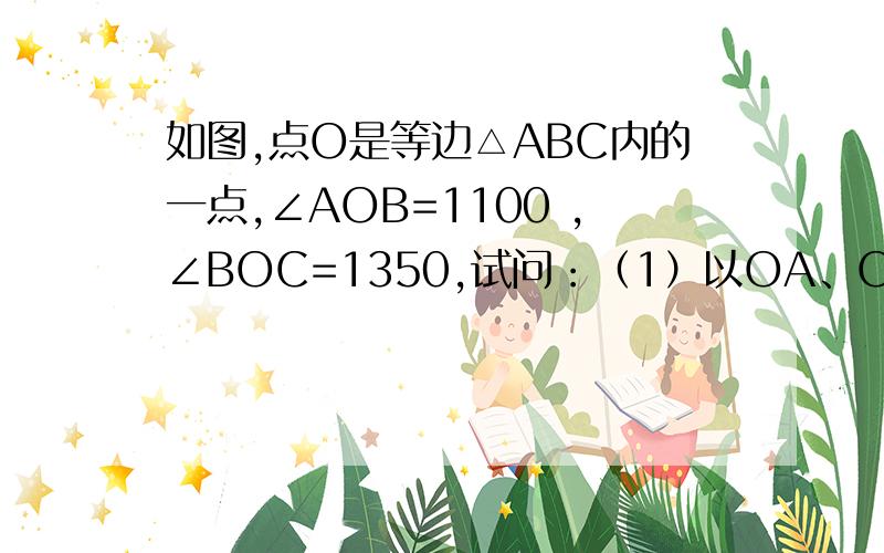 如图,点O是等边△ABC内的一点,∠AOB=1100 ,∠BOC=1350,试问：（1）以OA、OB、OC为边能否构成一