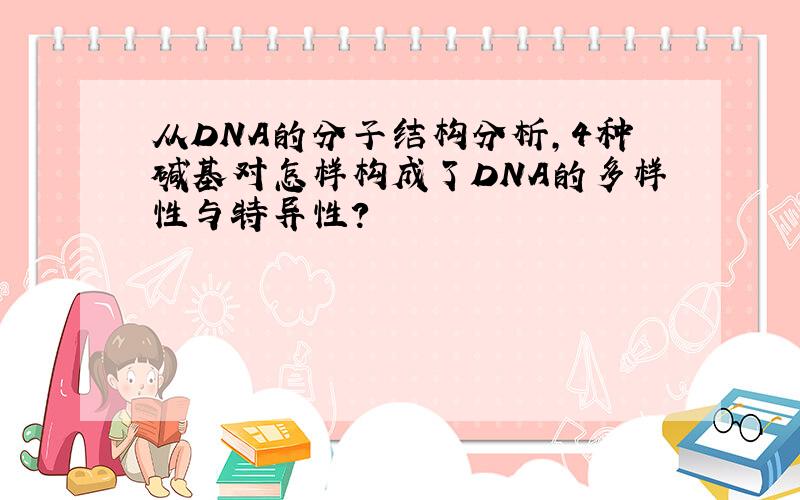 从DNA的分子结构分析,4种碱基对怎样构成了DNA的多样性与特异性?