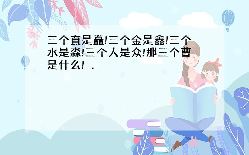 三个直是矗!三个金是鑫!三个水是淼!三个人是众!那三个曹是什么!.