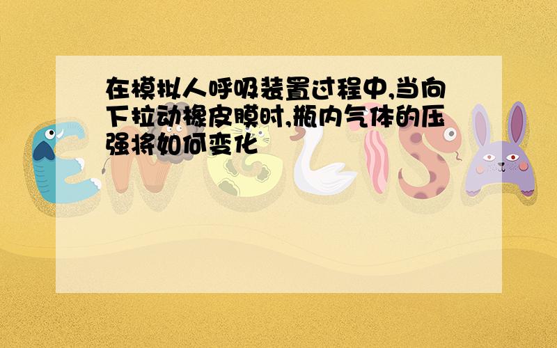 在模拟人呼吸装置过程中,当向下拉动橡皮膜时,瓶内气体的压强将如何变化