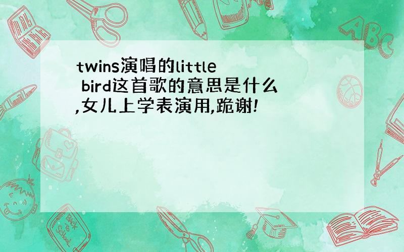 twins演唱的little bird这首歌的意思是什么,女儿上学表演用,跪谢!