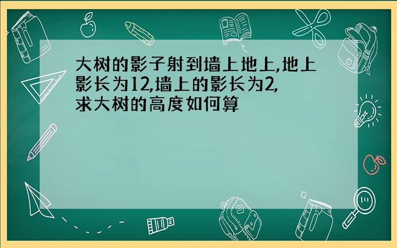 大树的影子射到墙上地上,地上影长为12,墙上的影长为2,求大树的高度如何算