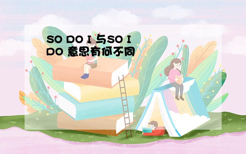 SO DO I 与SO I DO 意思有何不同