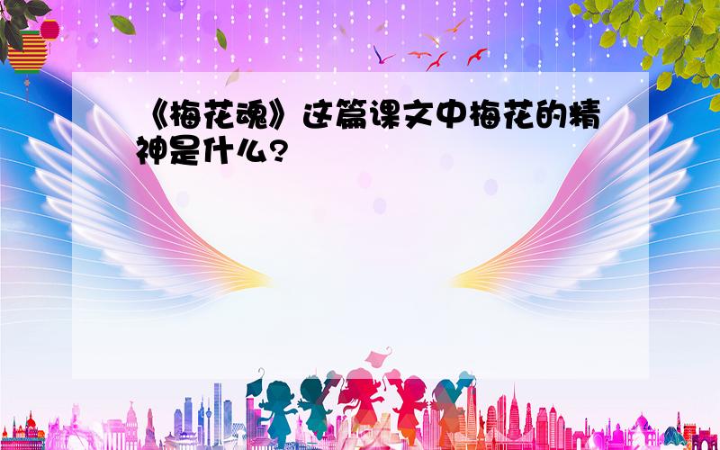 《梅花魂》这篇课文中梅花的精神是什么?