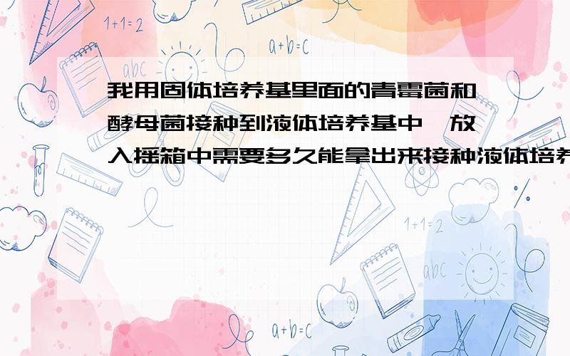 我用固体培养基里面的青霉菌和酵母菌接种到液体培养基中,放入摇箱中需要多久能拿出来接种液体培养基