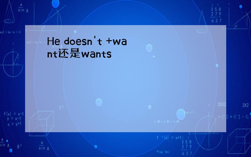 He doesn't +want还是wants