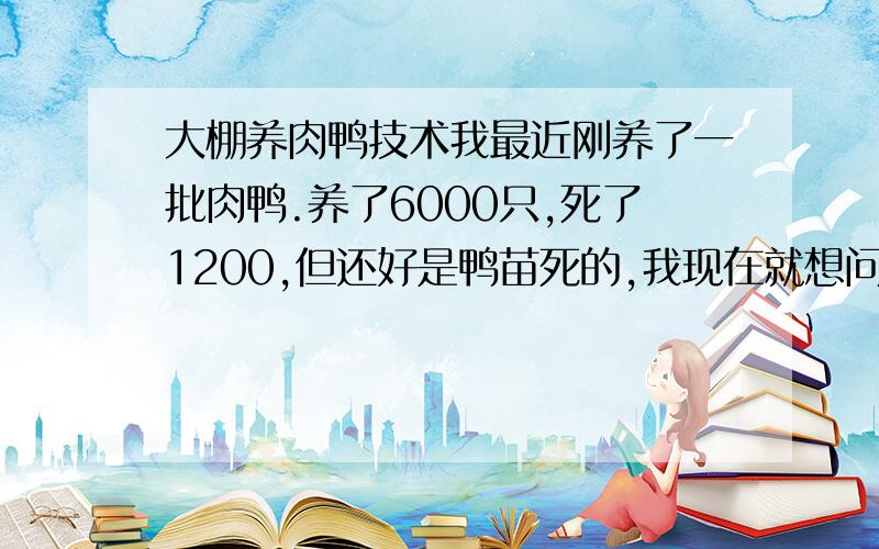 大棚养肉鸭技术我最近刚养了一批肉鸭.养了6000只,死了1200,但还好是鸭苗死的,我现在就想问下,大棚养殖肉鸭技术方面