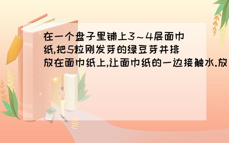 在一个盘子里铺上3～4层面巾纸,把5粒刚发芽的绿豆芽并排放在面巾纸上,让面巾纸的一边接触水.放置一天后