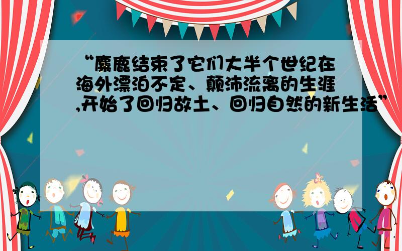 “麋鹿结束了它们大半个世纪在海外漂泊不定、颠沛流离的生涯,开始了回归故土、回归自然的新生活”