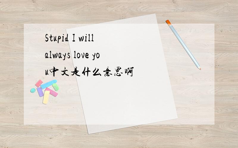 Stupid I will always love you中文是什么意思啊