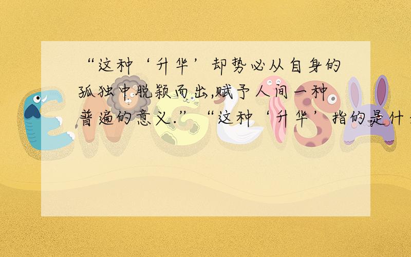 “这种‘升华’却势必从自身的孤独中脱颖而出,赋予人间一种普遍的意义.”“这种‘升华’指的是什么?