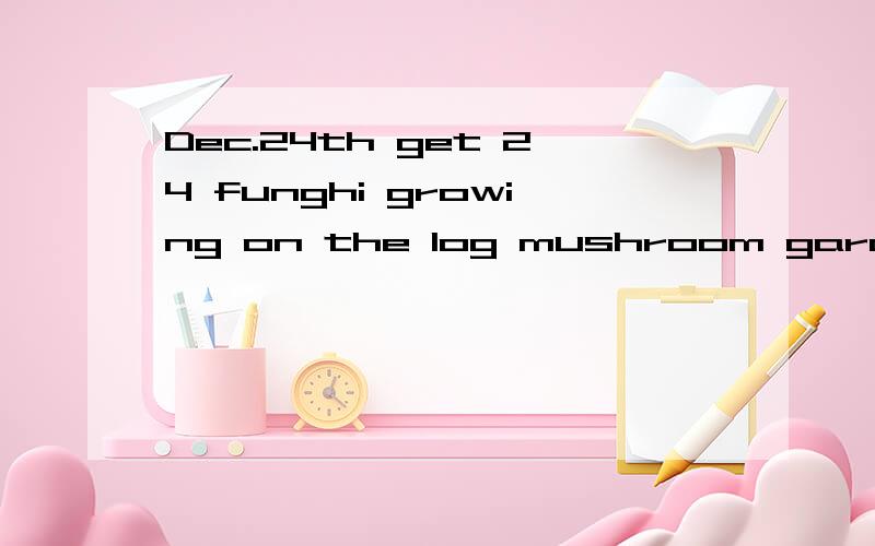 Dec.24th get 24 funghi growing on the log mushroom gardon DX