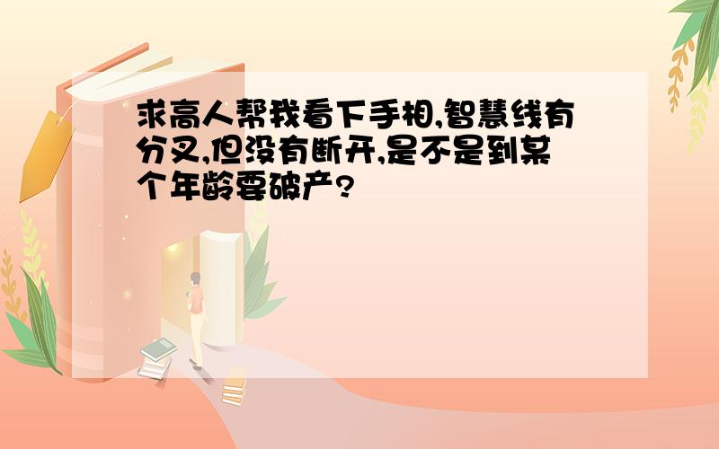 求高人帮我看下手相,智慧线有分叉,但没有断开,是不是到某个年龄要破产?