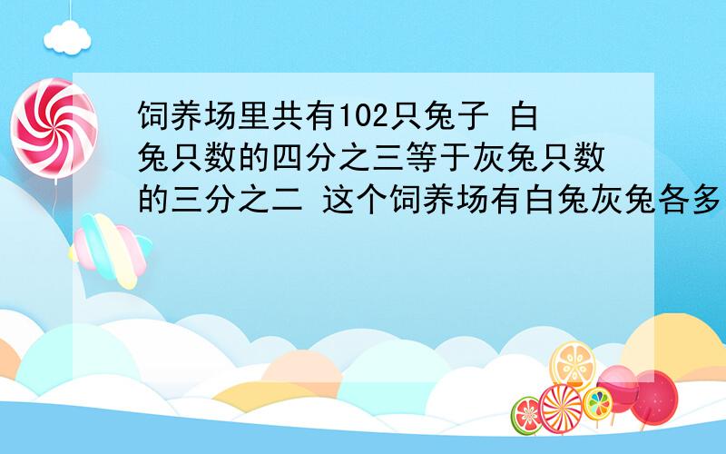 饲养场里共有102只兔子 白兔只数的四分之三等于灰兔只数的三分之二 这个饲养场有白兔灰兔各多少只