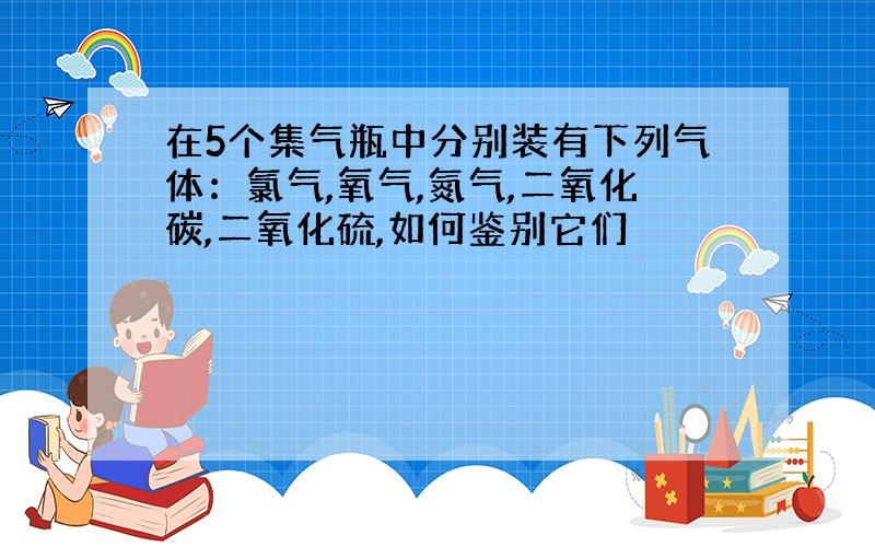 在5个集气瓶中分别装有下列气体：氯气,氧气,氮气,二氧化碳,二氧化硫,如何鉴别它们