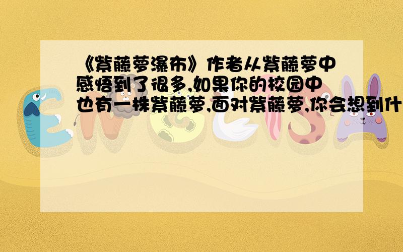 《紫藤萝瀑布》作者从紫藤萝中感悟到了很多,如果你的校园中也有一株紫藤萝,面对紫藤萝,你会想到什么,