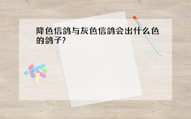 降色信鸽与灰色信鸽会出什么色的鸽子?