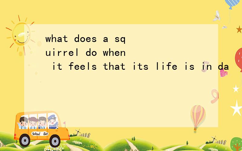 what does a squirrel do when it feels that its life is in da