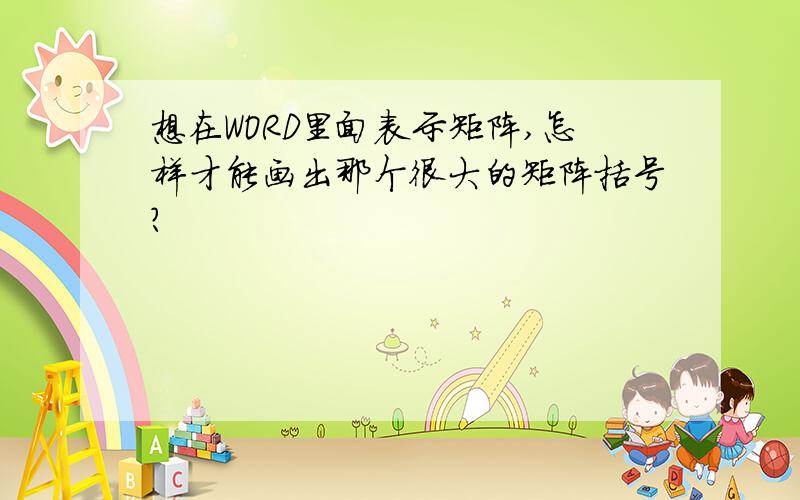 想在WORD里面表示矩阵,怎样才能画出那个很大的矩阵括号?