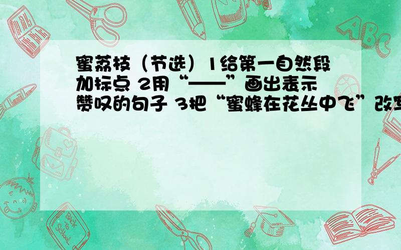 蜜荔枝（节选）1给第一自然段加标点 2用“——”画出表示赞叹的句子 3把“蜜蜂在花丛中飞”改写成拟人句