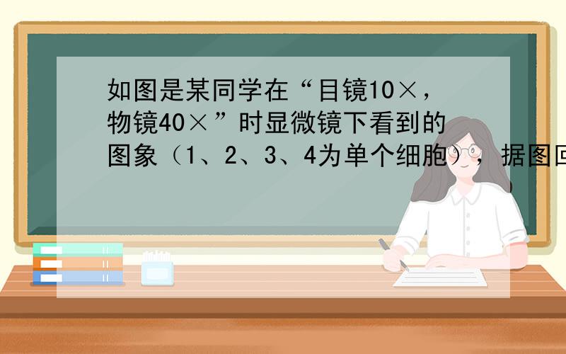 如图是某同学在“目镜10×，物镜40×”时显微镜下看到的图象（1、2、3、4为单个细胞），据图回答：