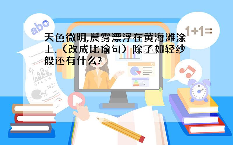 天色微明,晨雾漂浮在黄海滩涂上.（改成比喻句）除了如轻纱般还有什么?