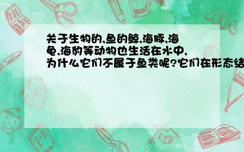 关于生物的,鱼的鲸,海豚,海龟,海豹等动物也生活在水中,为什么它们不属于鱼类呢?它们在形态结构上有像鱼的地方吗?