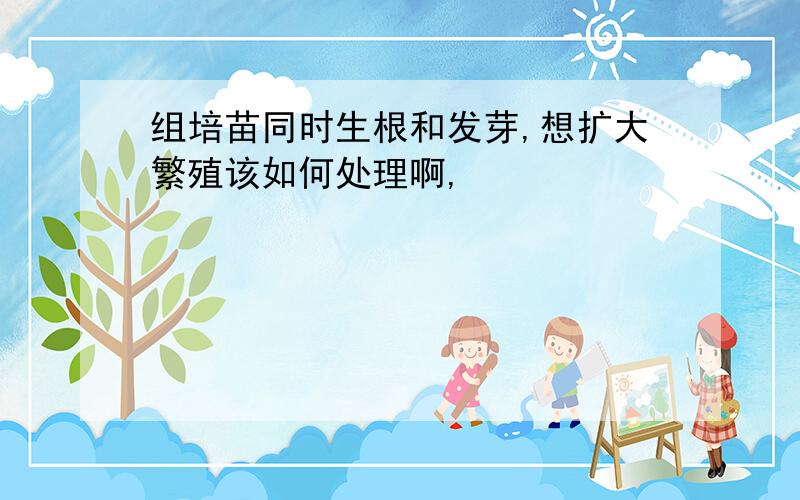 组培苗同时生根和发芽,想扩大繁殖该如何处理啊,