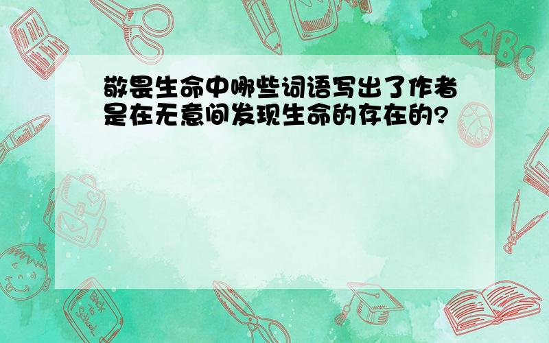 敬畏生命中哪些词语写出了作者是在无意间发现生命的存在的?