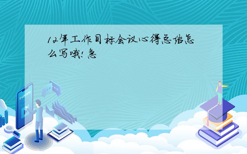 12年工作目标会议心得总结怎么写哦!急