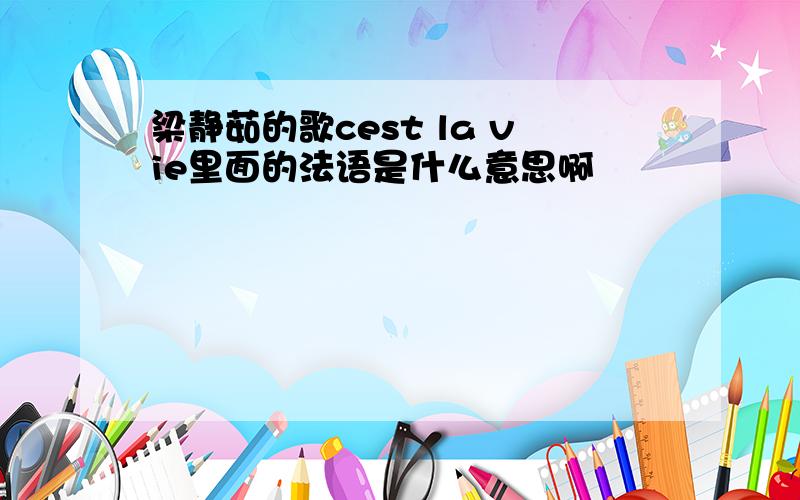 梁静茹的歌cest la vie里面的法语是什么意思啊