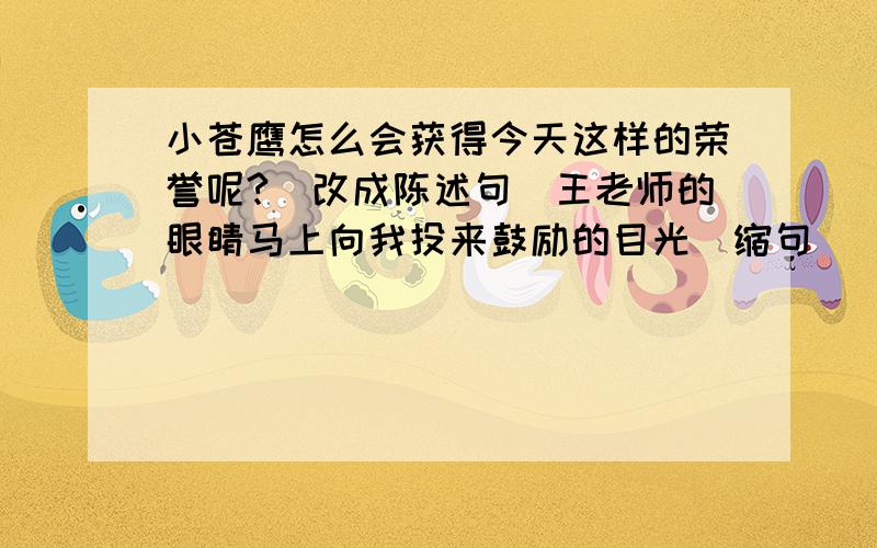 小苍鹰怎么会获得今天这样的荣誉呢?（改成陈述句）王老师的眼睛马上向我投来鼓励的目光（缩句）