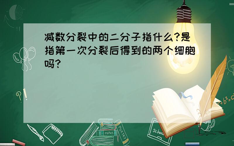 减数分裂中的二分子指什么?是指第一次分裂后得到的两个细胞吗?