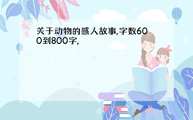 关于动物的感人故事,字数600到800字,