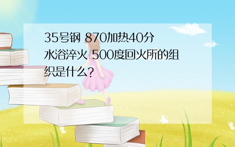 35号钢 870加热40分 水浴淬火 500度回火所的组织是什么?