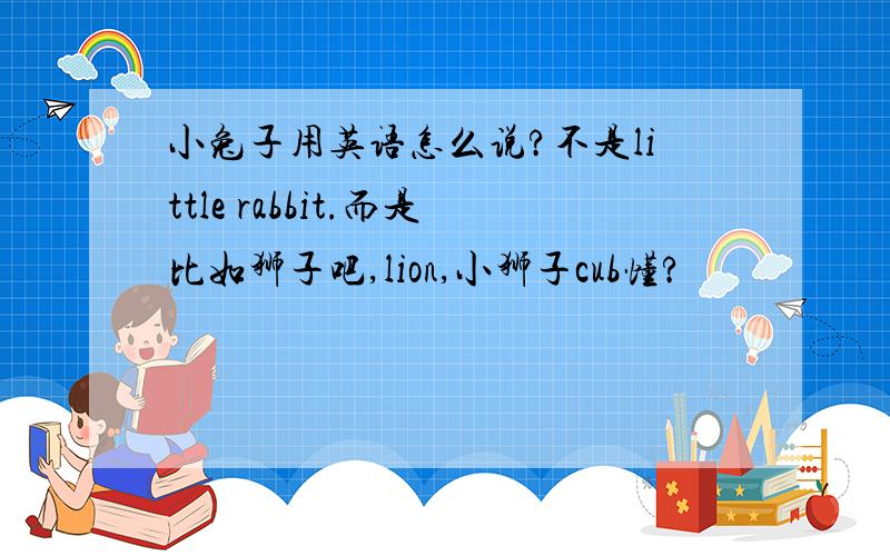 小兔子用英语怎么说?不是little rabbit.而是比如狮子吧,lion,小狮子cub懂?