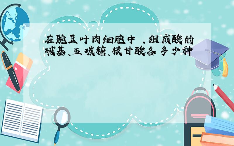 在豌豆叶肉细胞中 ,组成酸的碱基、五碳糖、核甘酸各多少种