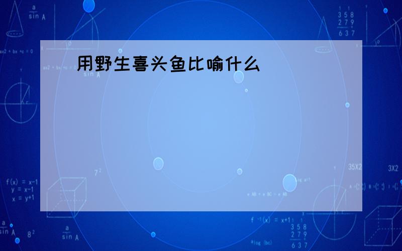 用野生喜头鱼比喻什么