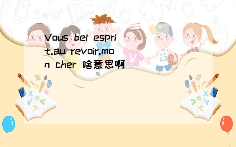 Vous bel esprit.au revoir.mon cher 啥意思啊