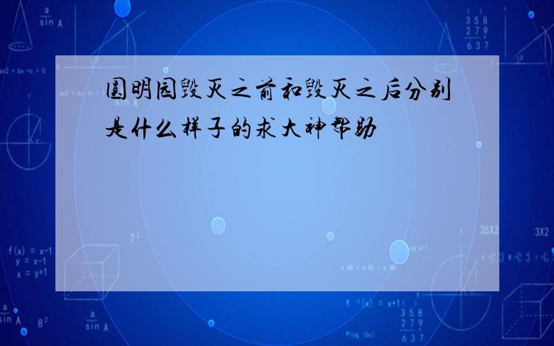 圆明园毁灭之前和毁灭之后分别是什么样子的求大神帮助