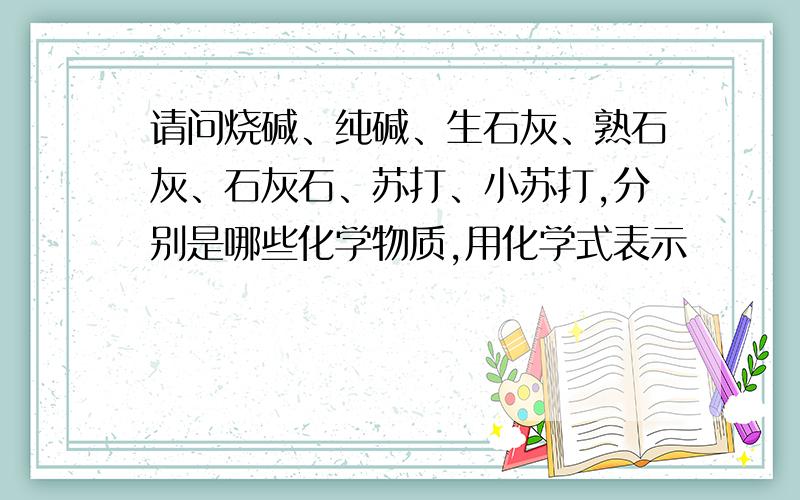 请问烧碱、纯碱、生石灰、熟石灰、石灰石、苏打、小苏打,分别是哪些化学物质,用化学式表示