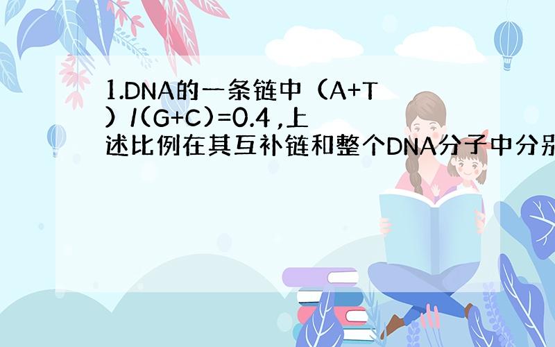 1.DNA的一条链中（A+T）/(G+C)=0.4 ,上述比例在其互补链和整个DNA分子中分别是 0.4和0.4【为什么